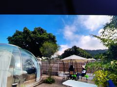 -南丹山森林王国