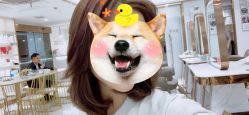 -镁连社·美联社