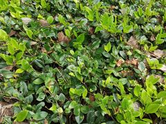 -西南交通大学(峨眉校区)