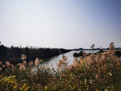 -芒洲湿地公园