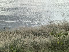 -漕湖湿地公园