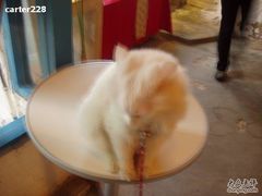 -Babycat私家御饼屋(龙头路一店)