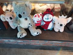 -了不起的考拉咖啡店(高新店)