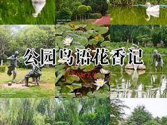 -城市运动公园(未央区)