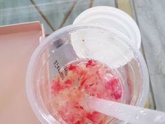 -喵屿·大理花园猫咖