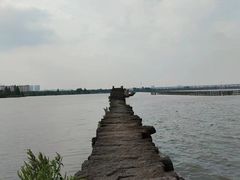 -绍兴镜湖国家城市湿地公园
