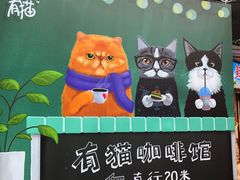 -有猫主题·治愈系猫咖(曾厝垵店)