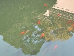 -宁波市保国寺古建筑博物馆