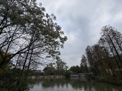 -海珠湖公园