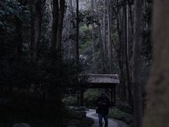 -杭州植物园
