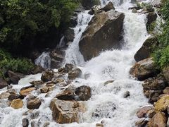 -汤锅大王(新平曹苏黄牛汤锅有限公司)