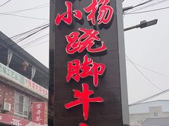 -小杨翘脚牛肉