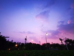 -深圳湾公园-停车场
