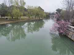 -苏州东太湖生态园