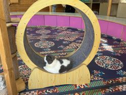 -萌宠亲子动物乐园(槐房万达店)