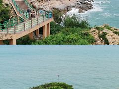 -广东惠东海龟国家级自然保护区