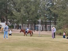 -玫瑰海岸文化旅游度假区