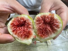 -毕家疃综合市场