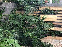 -时光花园(白鹭洲店)