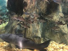 -成都浩海立方海洋公园