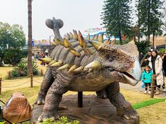 -自贡恐龙博物馆