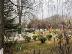 -宗角禄康公园