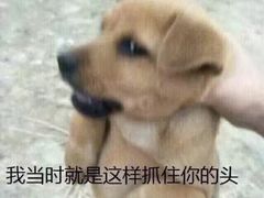 -H次元沉浸剧情密室(街道口店)
