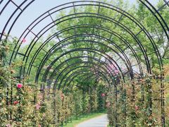 -福建鲤鱼洲酒店