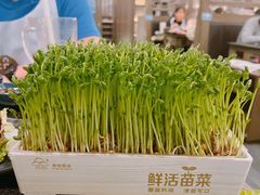 -湊湊火锅·茶憩(打浦桥日月光店)