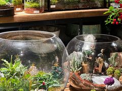 -自由生长植物工作室(深港花卉中心店)