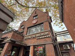 -Boxing Cat Brewery拳击猫精酿啤酒馆(永福店)