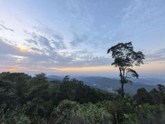 -广州市帽峰山景区