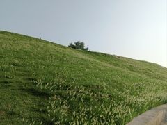 -太食獸泰式茶餐厅(济南万象城店)