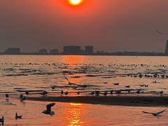 -老虎石海上公园