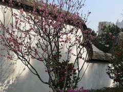 -乌山风景区