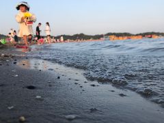 -柳湖沙月沙滩公园