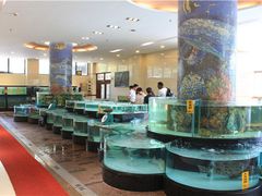 水产区-东豪园林海鲜酒家(南港路辅路店)