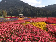 -广州市石门国家森林公园