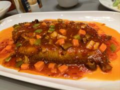 -燕春楼(海河华鼎店)