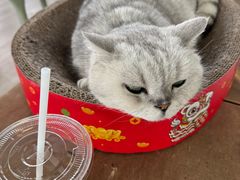 -小时光咖啡馆(北锣鼓巷店)