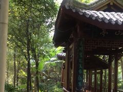 -龙头寺公园