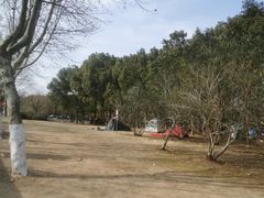 -宜兴龙背山森林公园