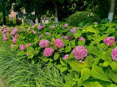 -常州古运河南大街文化旅游区-人民公园