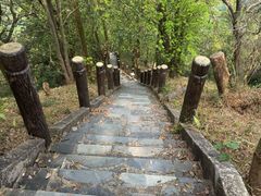 -田心森林公园