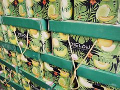 -上海龙吴水胜海发市场