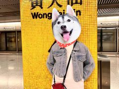-香港理工大学