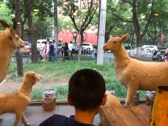 -六合顺