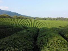 -敬亭山风景名胜区