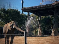 -上海野生动物园