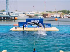 -秦皇岛乐岛海洋王国